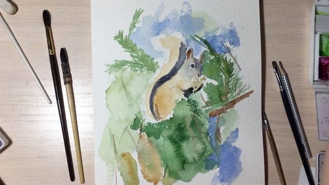 Белка рисунок акварелью/Как нарисовать белочку/ Watercolor Painting of a Squirrel