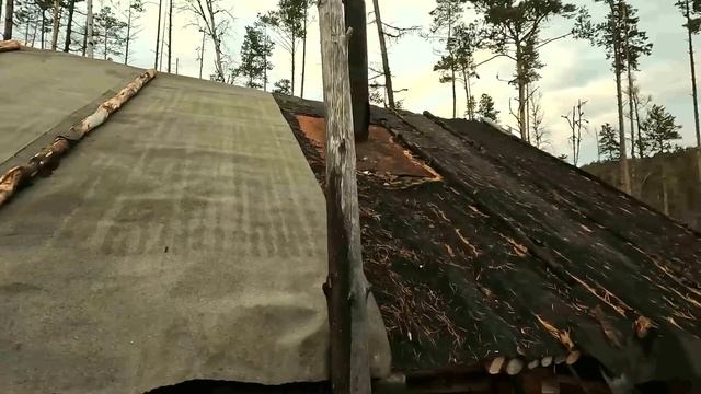 Медведь в фотоловушке. Ремонт избушки. смотреть онлайн