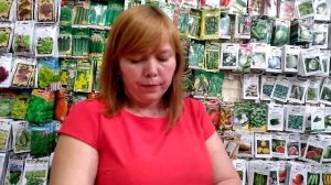 Обзор семян огурцов Уральский Дачник, Партнер