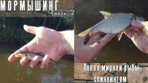 Мормышинг. Ловля плотвы, пескарей и другой мирной рыбы спиннингом на микроприманки