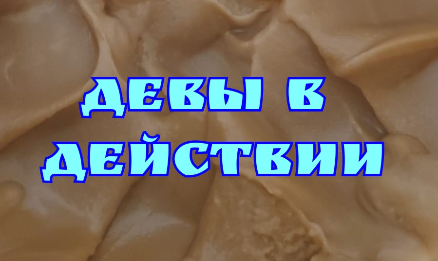 Девы в Действии. 15.04.24г.