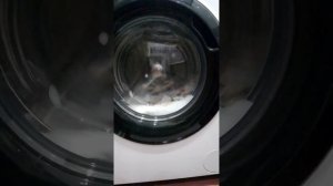 стиральная машина хаер полоскание на быстрой