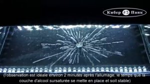 Камера Вильсона   увидеть невидимое