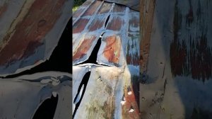 как не нужно покупать лодку янтарь 2