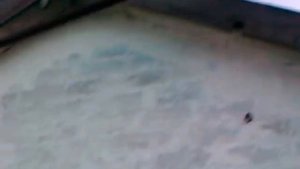 Американская ламанча, блин