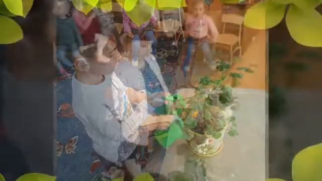 Ознакомление с окружающим миром "Мир комнатных растений" смотреть онлайн