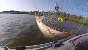 Рыбалка в Астраханской обл с Копановка часть 3  2020г