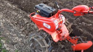 Мотоблок Салют 100