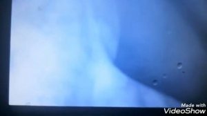 Налим! Рыбалка осенью на стук! Реальная рыбалка на печень и потроха налима!