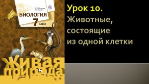 Урок 10. Животные, состоящие из одной клетки