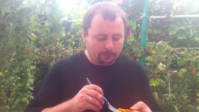 what this mamordika ? Роман Мельниченко смотреть онлайн