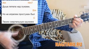 Пицца - Оружие. Простые аккорды без баррэ на гитаре, слова песни