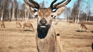 Все удивляются, почему я не курю и не пью