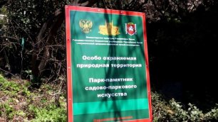 Плановое удаление сухих веток проводится в парке «Алупкинский»