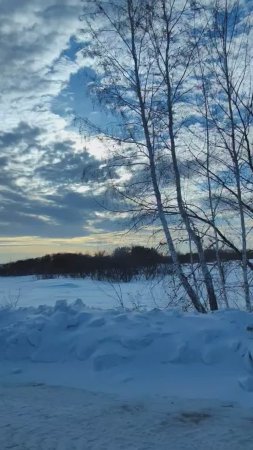 Январский пейзаж