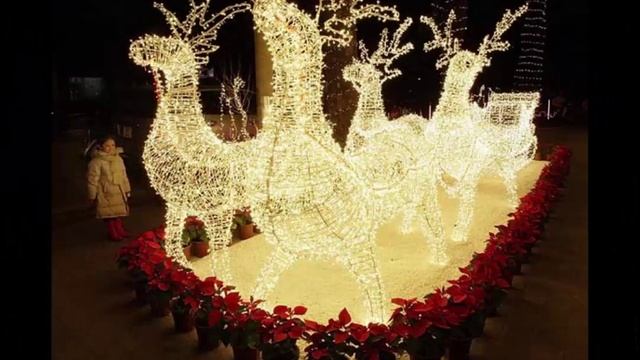 Чудеса Рождественской ночи смотреть онлайн