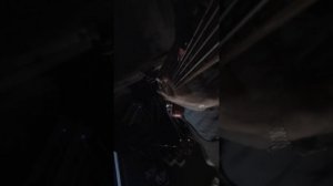 Сергей Шнуров - Ангел, лети, лети (бас кавер)