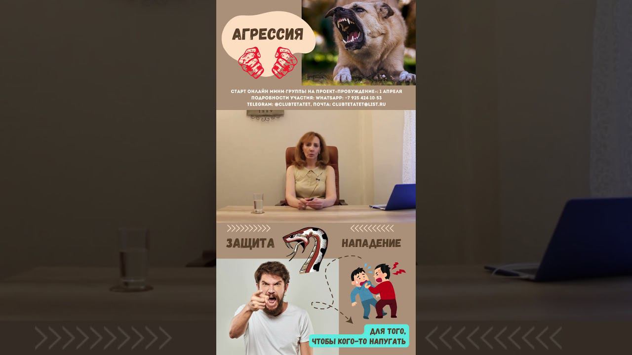 Что такое агрессия? -  психолог Ирина Лебедь