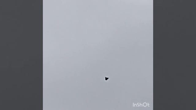 курсаки кривополянь Чаплыгин смотреть онлайн