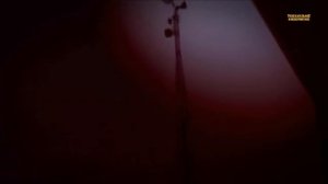 5 ДРАКОНОВ, СНЯТЫХ НА ВИДЕО Драконы, Снятые на Камеру