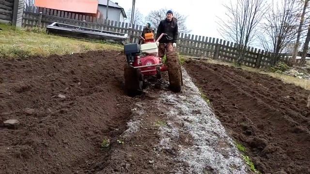 Мотоблок МТЗ+ плуг Саха! Это РЕАЛЬНО?? Друзья пашут огород! смотреть онлайн