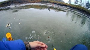 ЛОВЛЯ КАРАСЯ ЗИМОЙ на УДОЧКУ. ЗИМНЯЯ РЫБАЛКА на КАРАСЯ на СОБСТВЕННОМ ПРУДУ.