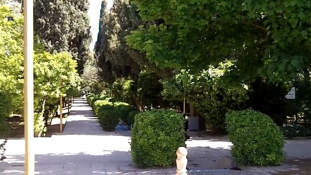 Experiencing Shiraz, Iran смотреть онлайн