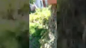 Собираем полынь-убираем одиночество 🌿