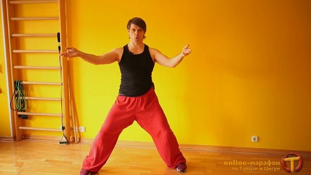 Почему так различаются формы Тайцзи