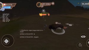 Получаем ранг Champion of the Wild | Wildcraft