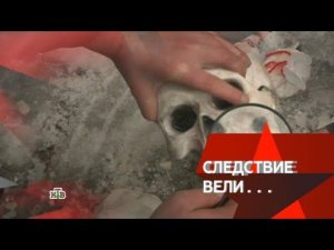 "Следствие вели...": "Народный палач"