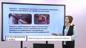 Естествознание. 5 класс. Свойства вещества. Физические и химические явления /24.11.2020/