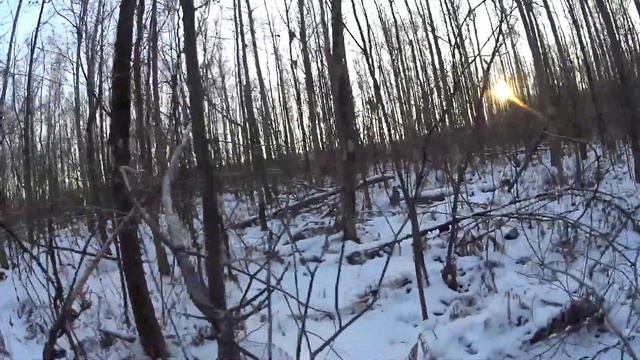 Наше озеро - Зимнее озеро....
