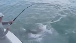 10 САМЫХ ОПАСНЫХ УЛОВОВ И ИНТЕРЕСНЫХ СЛУЧАЕВ НА РЫБАЛКЕ