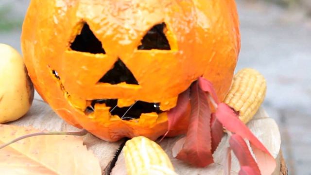 pumpkin смотреть онлайн