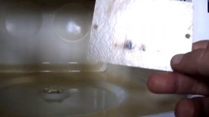 Ремонт микроволновой печи  СВЧ печь DAEWOO