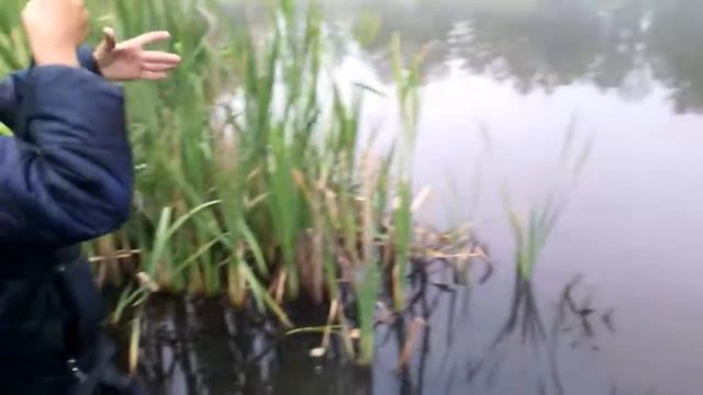 Russian Fishing l #6 l - Ловля карася на червя ! смотреть онлайн