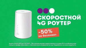 Роутер 4G - Лебедь