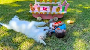 Monkey Baby Bon Bon Goes To Buy Watermelon Ice Cream And Swim With Duckling In The Pool