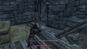 "Teldryn Sero Is The Best Follower In Skyrim......."