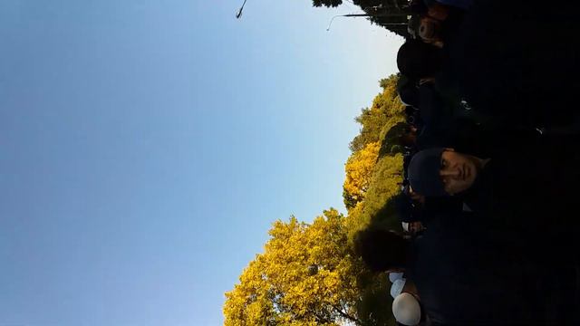 Курбан.байрам.парк.пабида смотреть онлайн