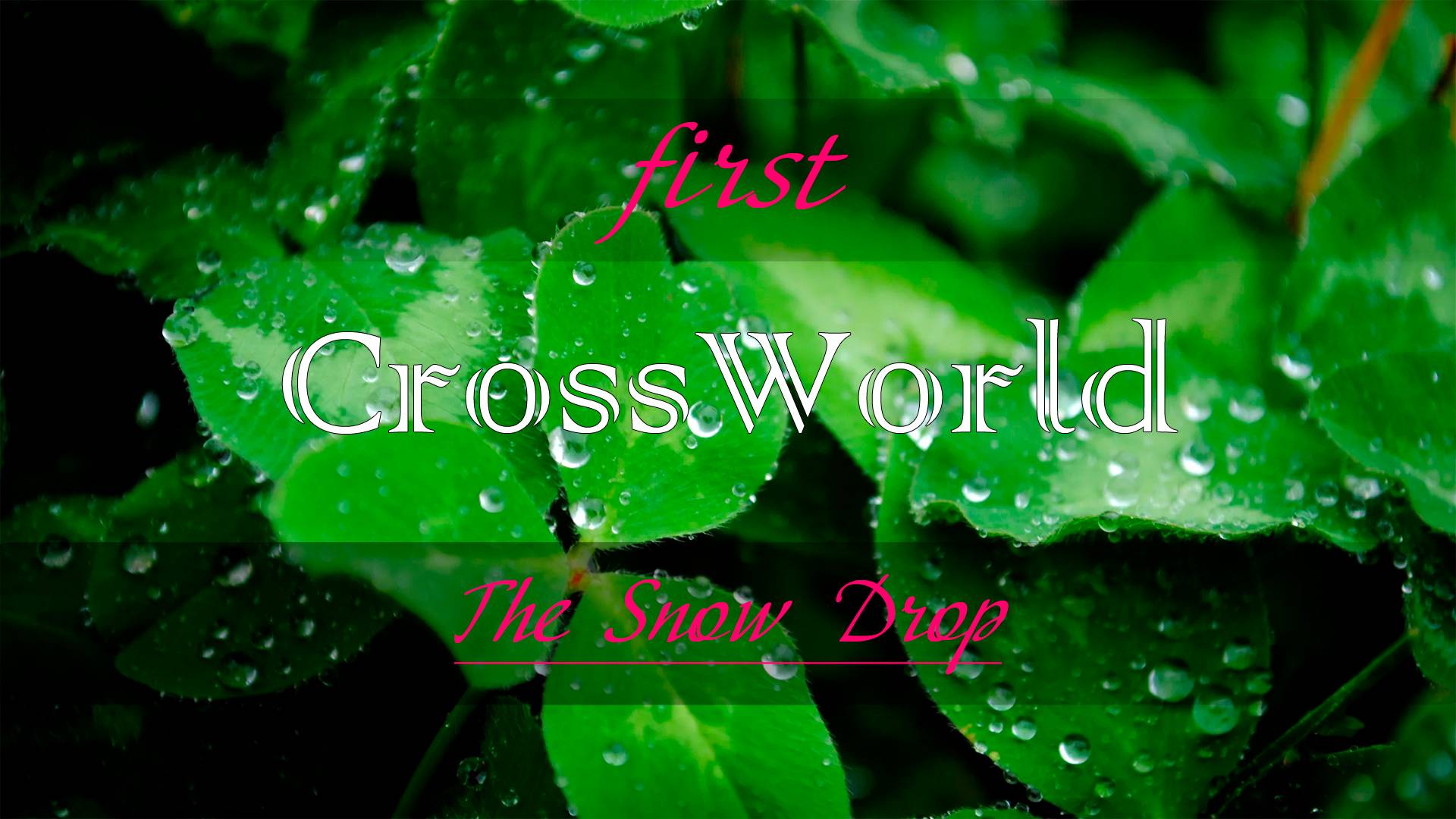 The_Snow_Drop