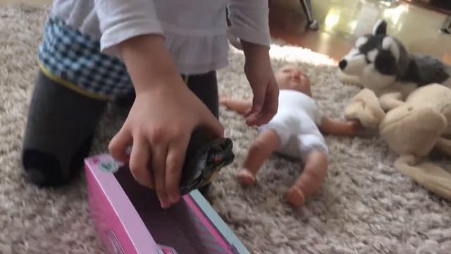 Дрессированная черепаха Тинтус!!)))Вот и черепаха у Лизы заговорила)))) смотреть онлайн