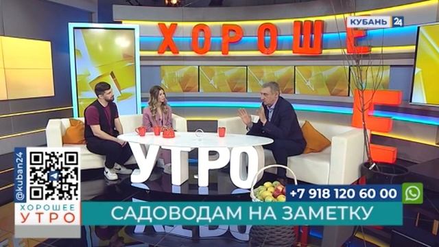 У берега моря конференция абрикос. Союз садоводы кубани. Садоводы кубани знаменитые. У берега моря конференция абрикос. Союз садоводы кубани.
