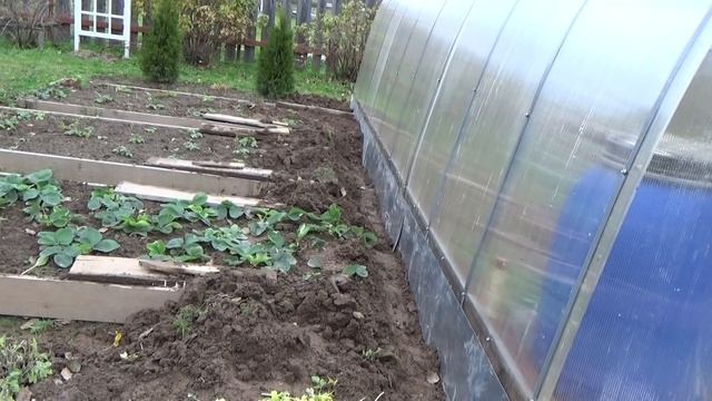 6 соток в середине октября смотреть онлайн