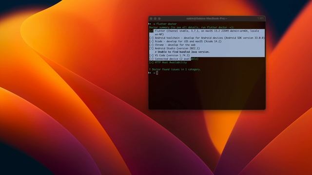 Fix: Unable to find bundled Java error on Android Studio | MacOS | Flutter смотреть онлайн