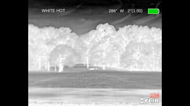 FLIR Breach PTQ136 Thermal Monocular Field Review
