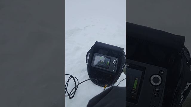 Ice fishing with dog team #husky #maine #dogsledding #icefishing #fishfinder