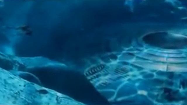 Раскрытые секретные останки НЛО