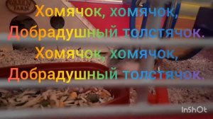 Хомячок добрадушный толстячок, минусовка.